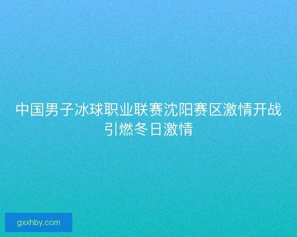 中国男子冰球职业联赛沈阳赛区激情开战引燃冬日激情